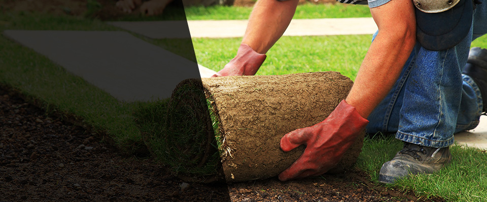 Eads Landscapers